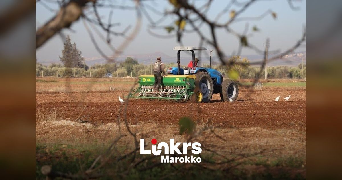 Landbouwgrond in de Marokkaanse Gharb-vlakte na overstromingen