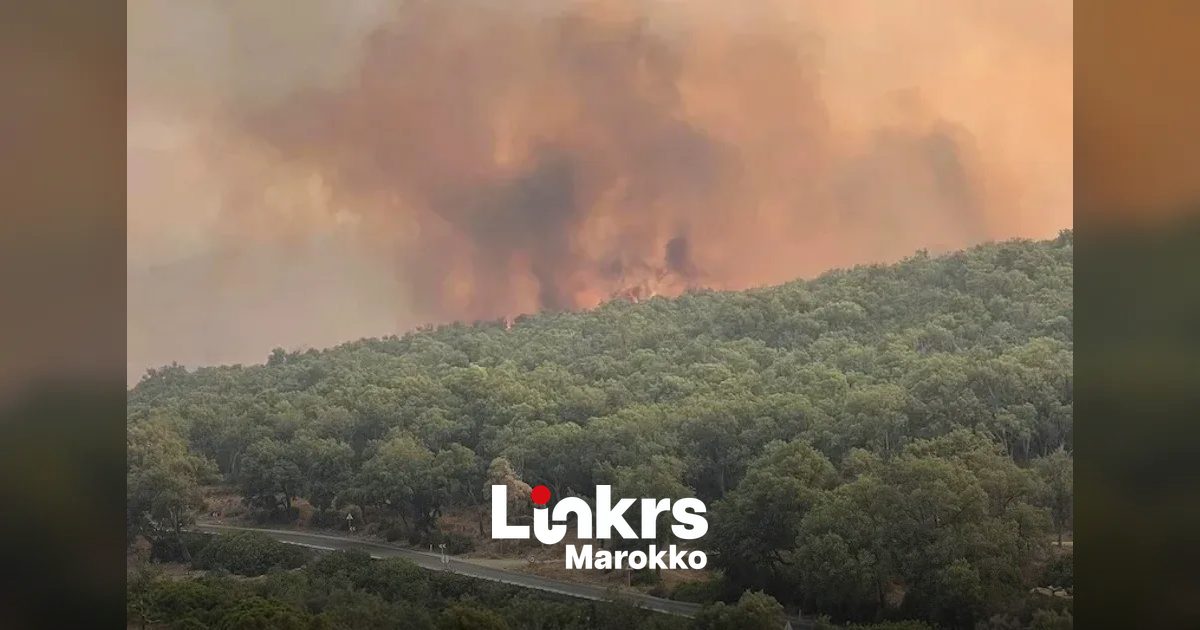 Bosbrand bij Chefchaouen na vier dagen bijna onder controle