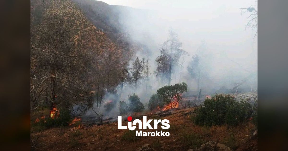 Blusploegen aan het werk bij een bosbrand in een berggebied in Marokko