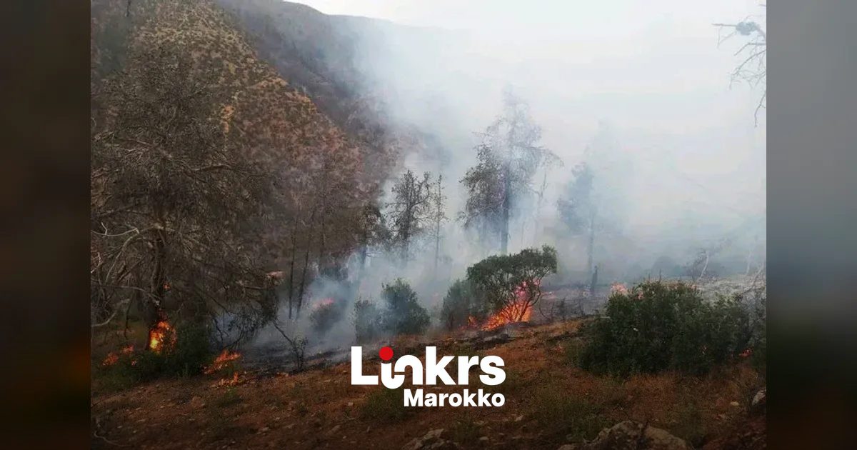 Brandweerlieden bestrijden een bosbrand in een beboste bergstreek in Marokko