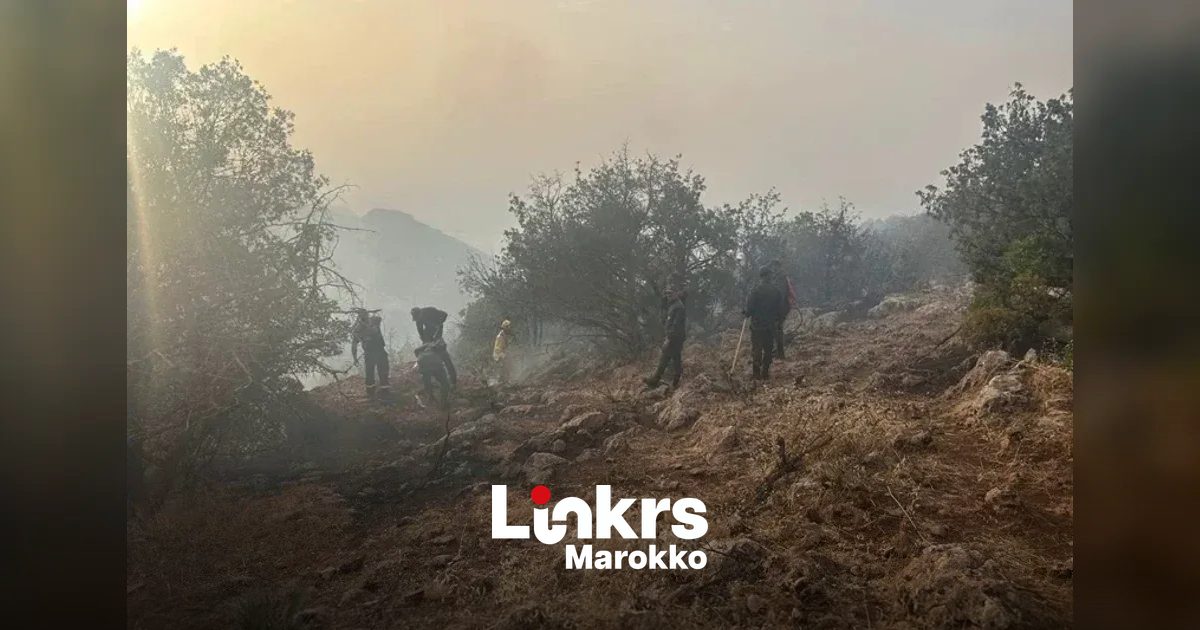 Rookpluimen boven een bebost berggebied tijdens een bosbrand in Marokko