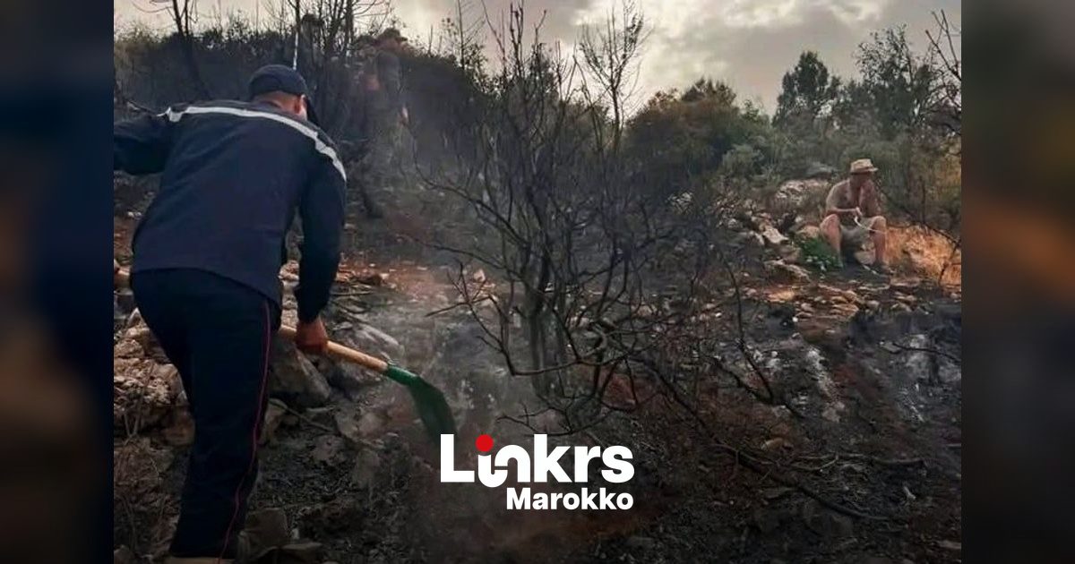 Rookontwikkeling boven een brandend bosgebied in Marokko
