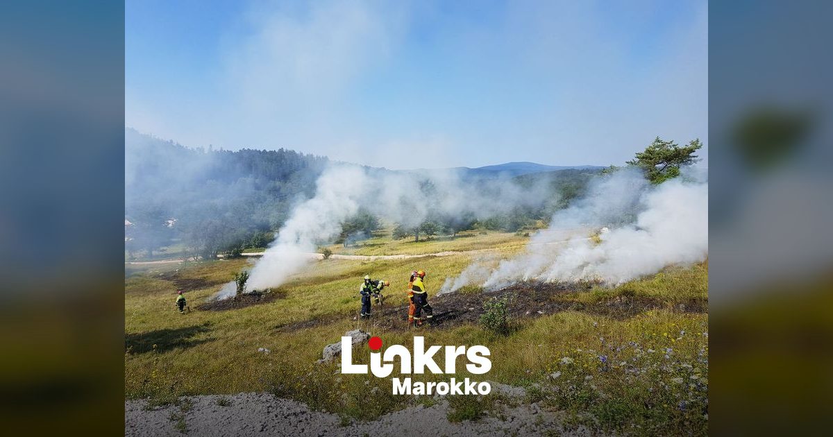 Bosbrand met rook en vlammen in een berggebied in Marokko