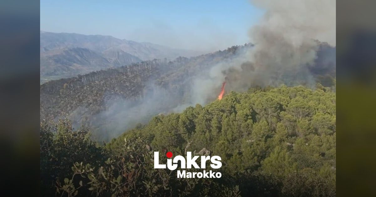 Bosbrand in een berggebied in Marokko met rook boven de bomen