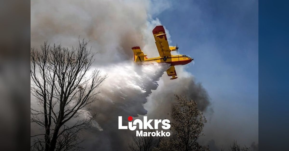 Blusvliegtuig boven een bosbrand in een berggebied in Marokko
