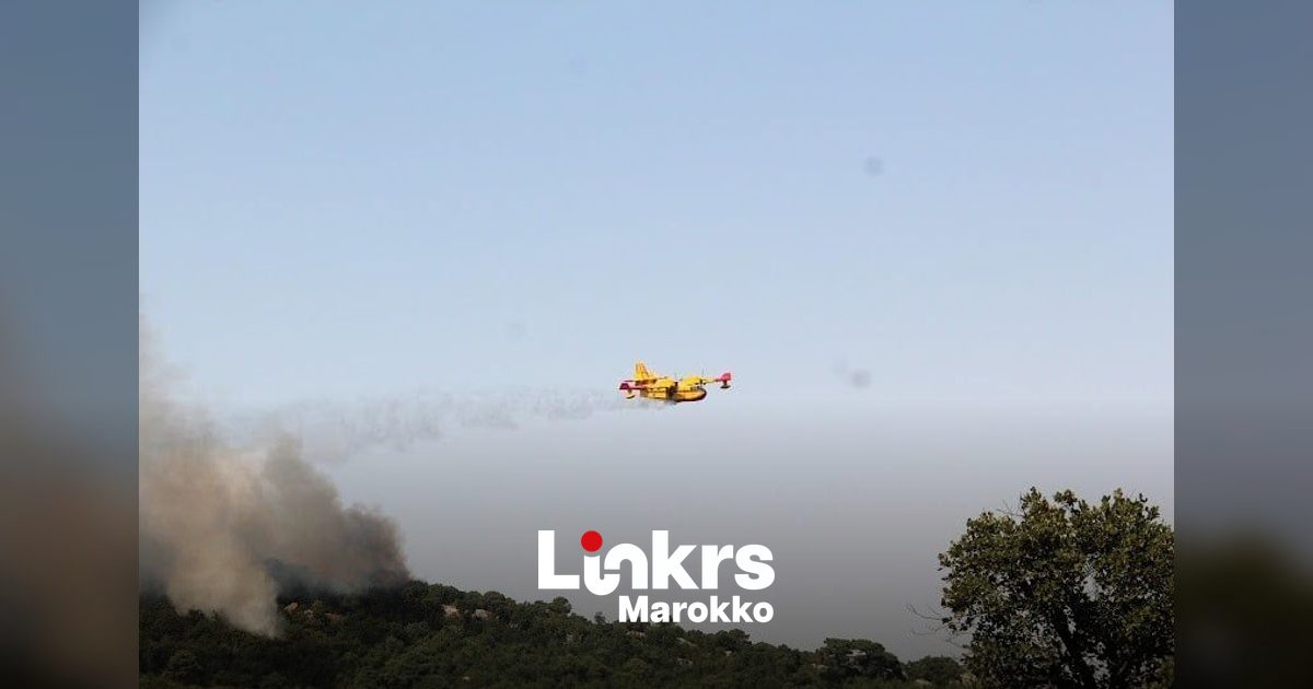 Bosbranden verwoesten honderden hectaren bos in Sefrou en Chefchaouen