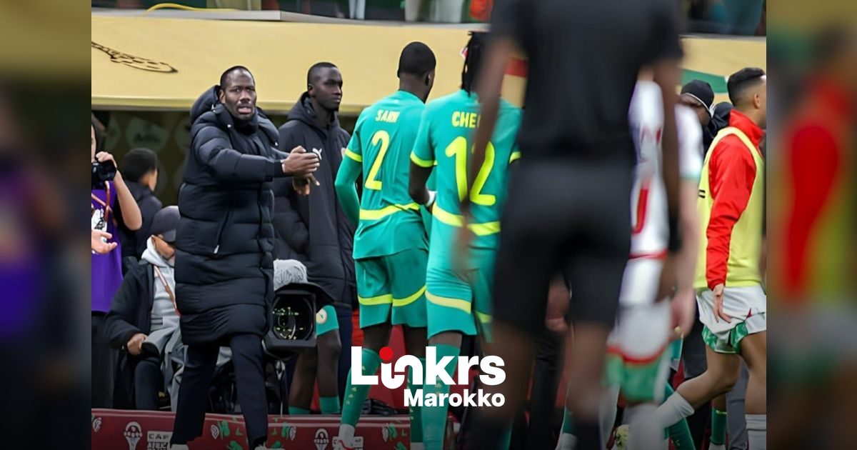 Marokkaanse voetbalsupporters vieren de continentale titel met vlaggen