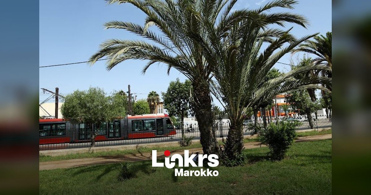 Groen stadspark in Casablanca tijdens een warme zomerdag