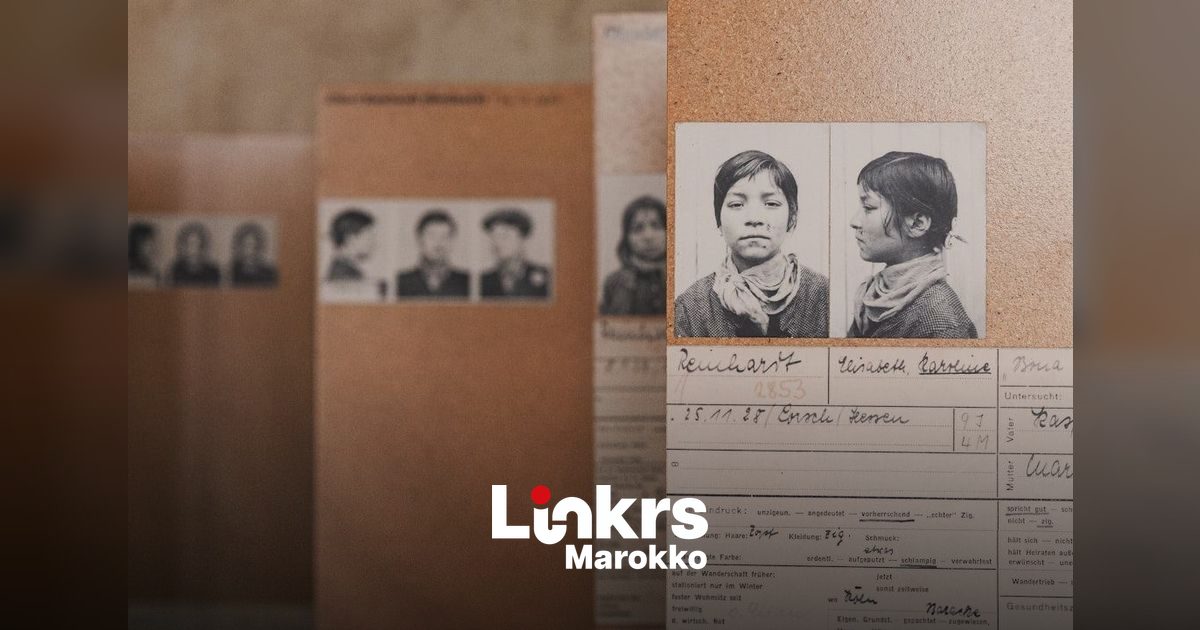 CNIE kaart aanvragen: stappen voor Marokkanen in het buitenland (2026) - Werken in Marokko blog voor Nederlandstalige professionals