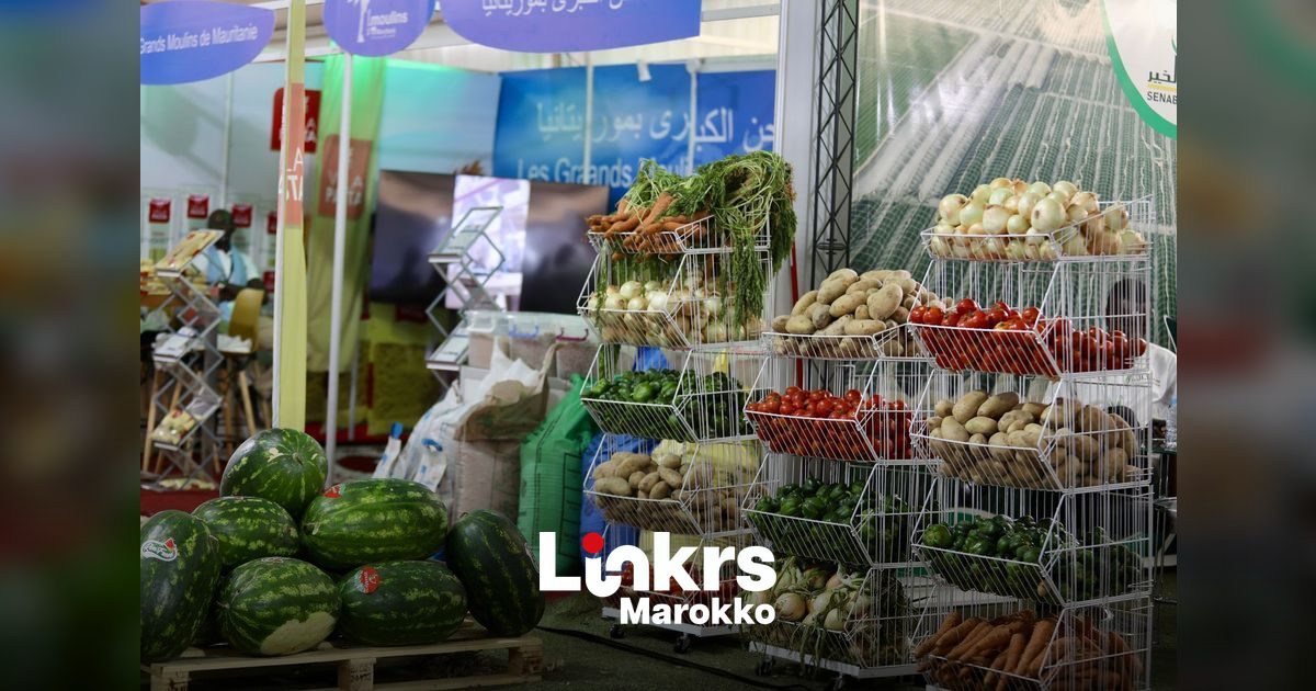 Kraampjes met verse groenten en fruit op een groothandelsmarkt in Marokko