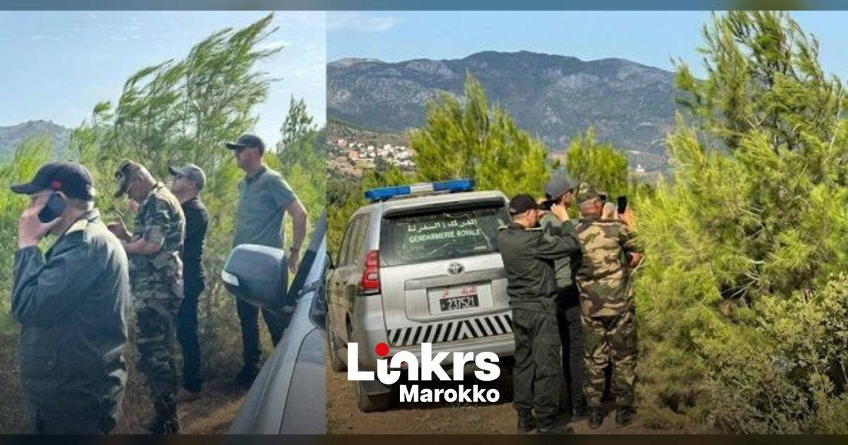 Bosbrand met rookpluimen in een beboste omgeving nabij Tétouan