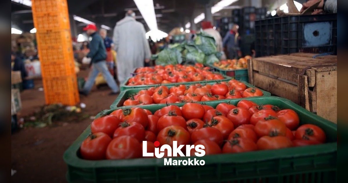 Marokkaanse agrovoedingsexport bereikt ruim 86 miljard dirham in 2025