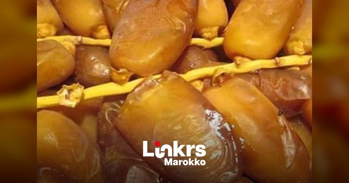Marokkaanse dadels breken record op de Duitse markt