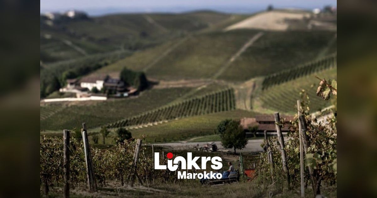 Marokkaanse landarbeiders in de greep van de Italiaanse landbouwmaffia