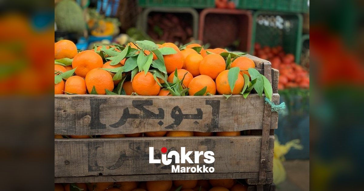 Marokkaanse sinaasappels breken records op de Duitse markt