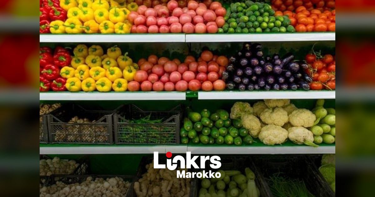 Marokko blijft grootste niet-EU-leverancier van groenten en fruit aan Spanje