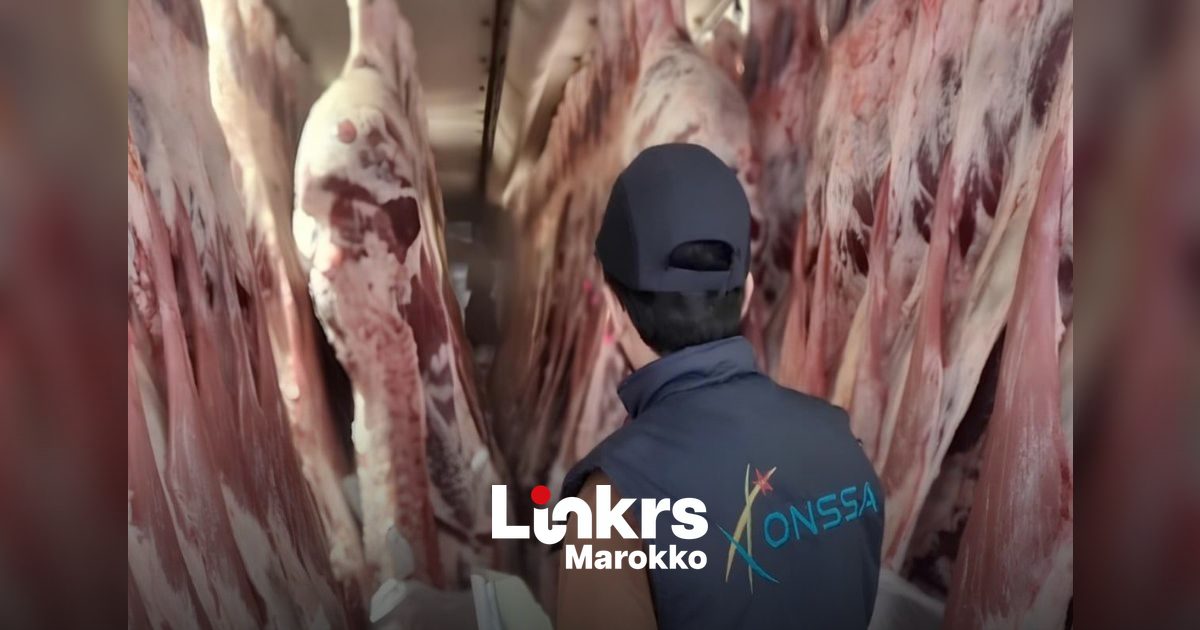 Veterinaire inspectie van ingevoerd vlees aan een grenspost