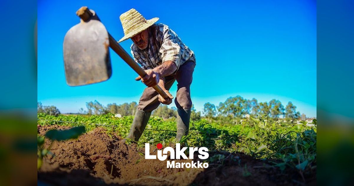 Marokko evalueert Green Plan na vijf jaar droogte