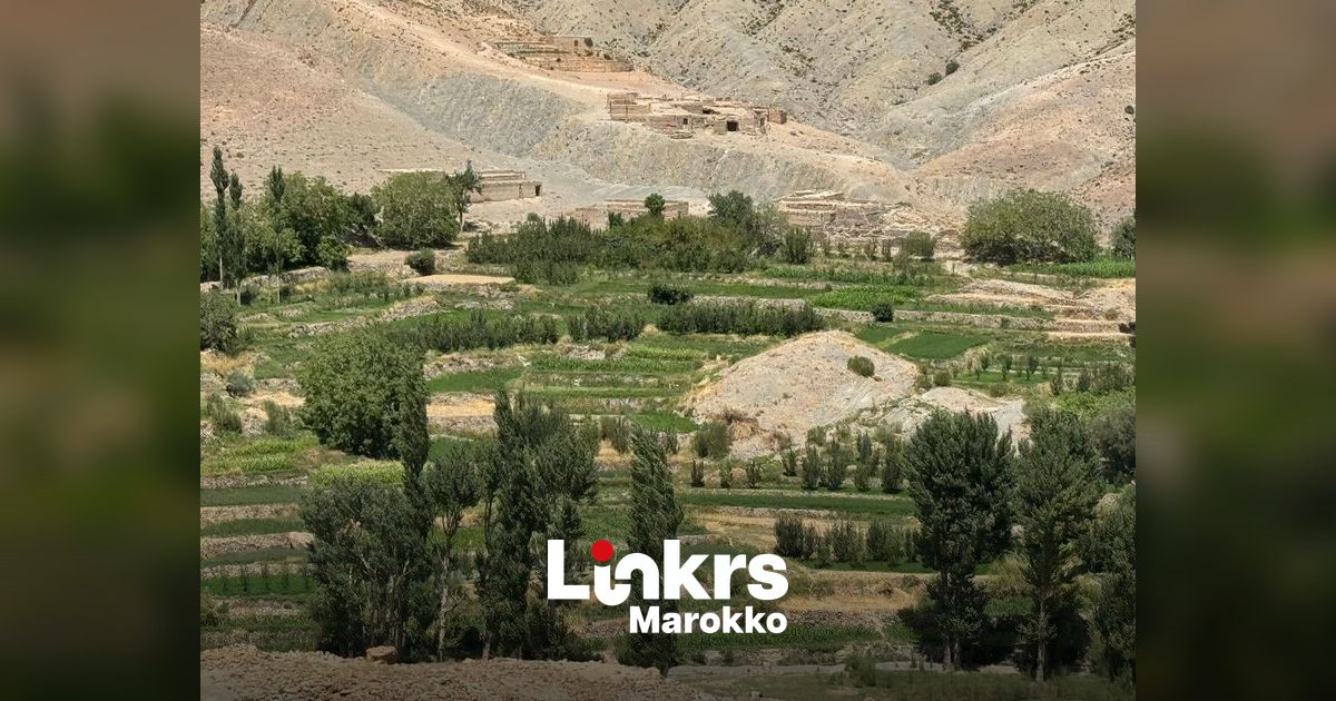 Landbouwgronden met irrigatie in de provincie Larache in Marokko