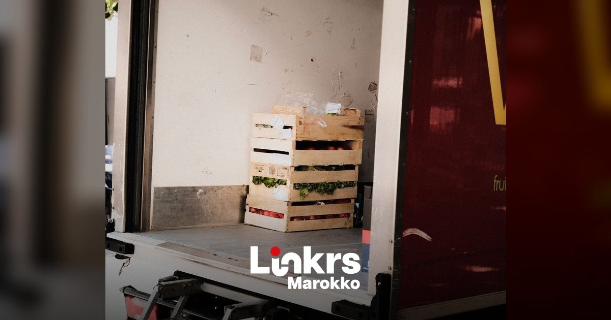Verse groenten en fruit klaar voor export vanuit Marokko