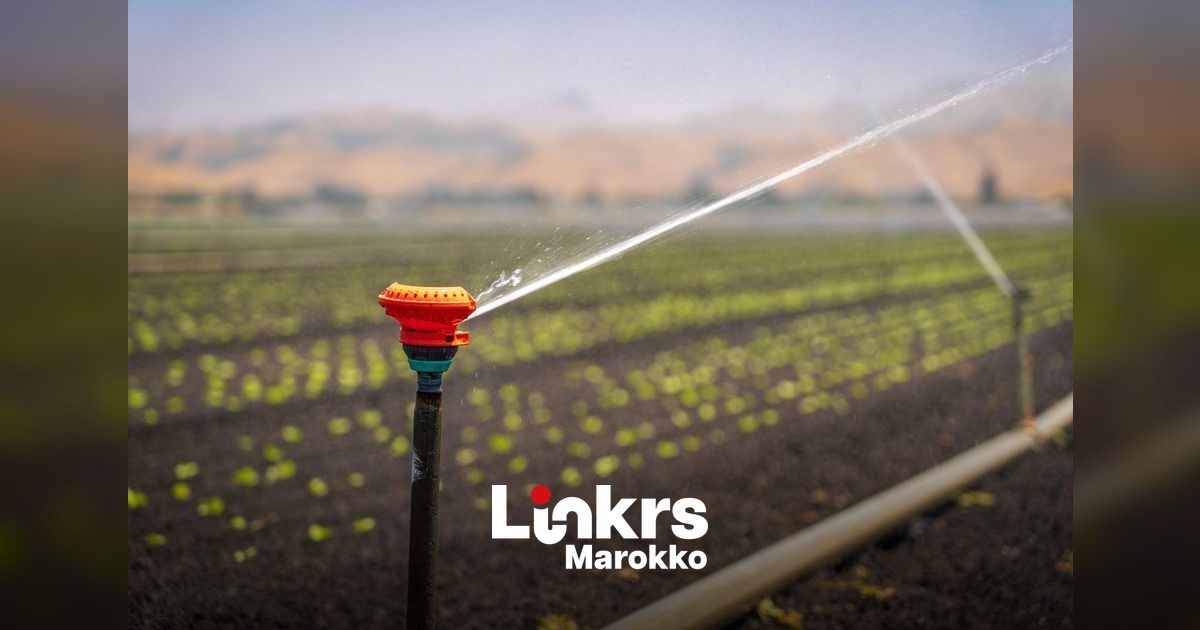 Irrigatiekanaal op een Marokkaans landbouwveld na de droogte