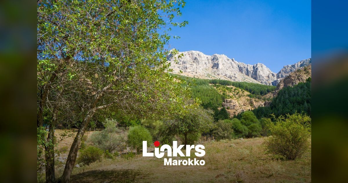 Bergachtig natuurlandschap van het nationaal park Tazekka in de Midden-Atlas in Marokko