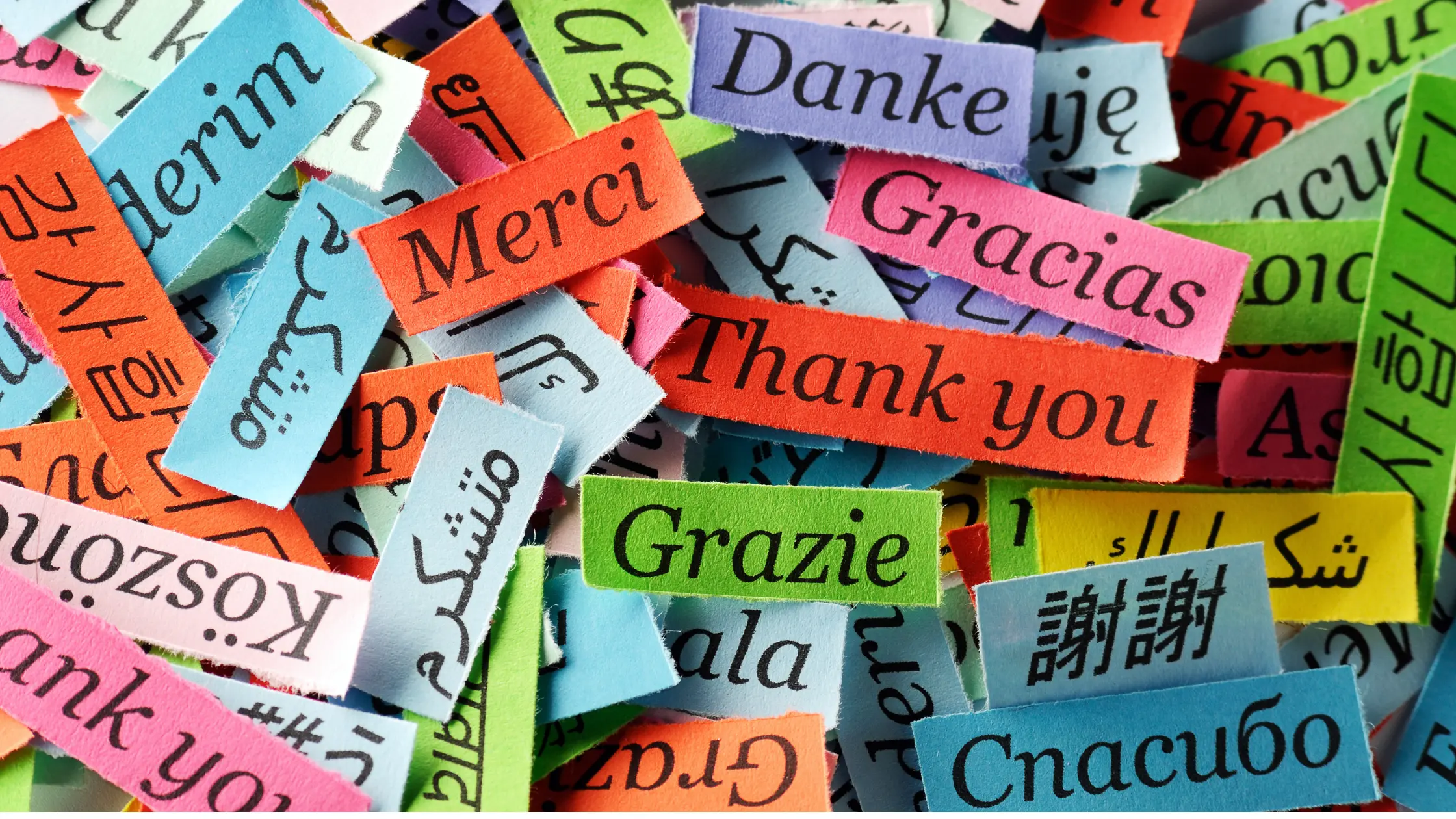 Benefits of Being Bilingual in the Moroccan Job Market - Werken in Marokko blog voor Nederlandstalige professionals