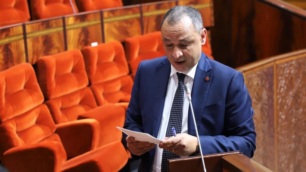 Uitspraken minister Mezzour leiden tot kritiek van Marokkanen in het buitenland
