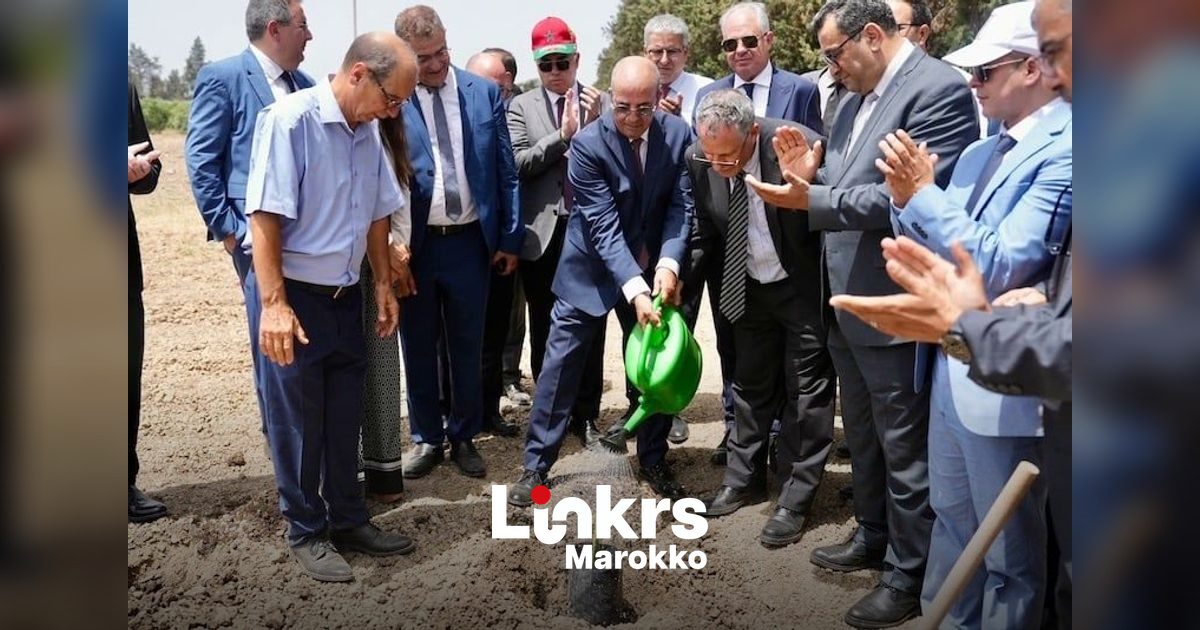 Landbouwvelden met irrigatiesystemen in de Loukkos-regio in Marokko