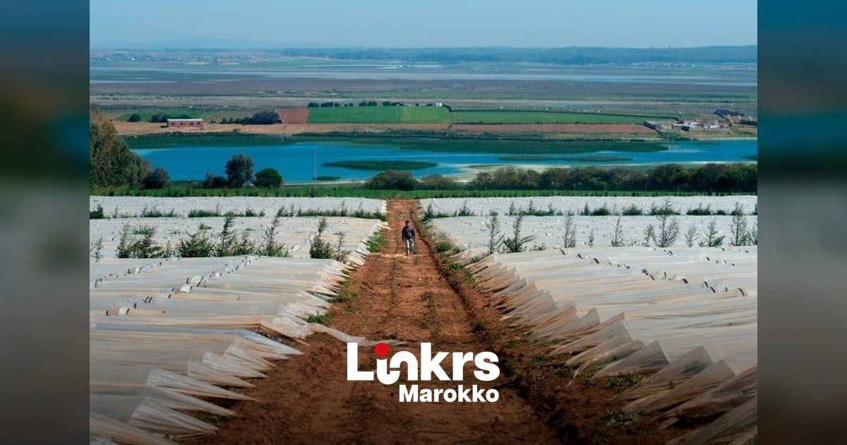 Landbouwgrond in de Gharb-regio in Marokko na overstromingen