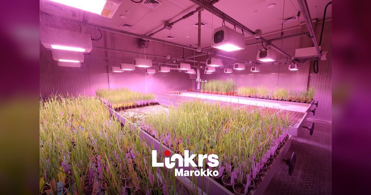 Onderzoeker in een laboratorium werkt aan water- en landbouwonderzoek