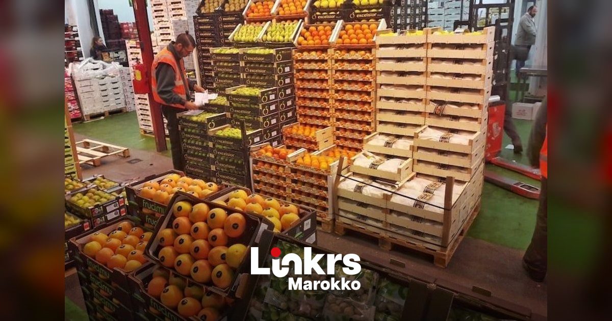 Spanje betaalt 890 miljoen euro voor Marokkaanse groenten en fruit