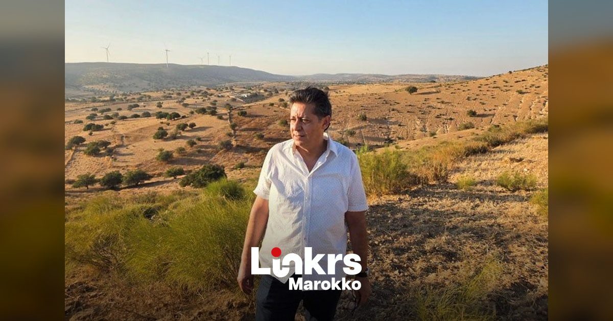 Kaal en rotsachtig landschap met arganbomen in het Marokkaanse platteland