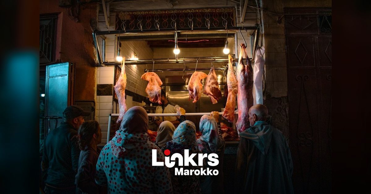 Vleesprijzen swingen de pan uit: Marokko overweegt heropstart invoervrijstelling schapen