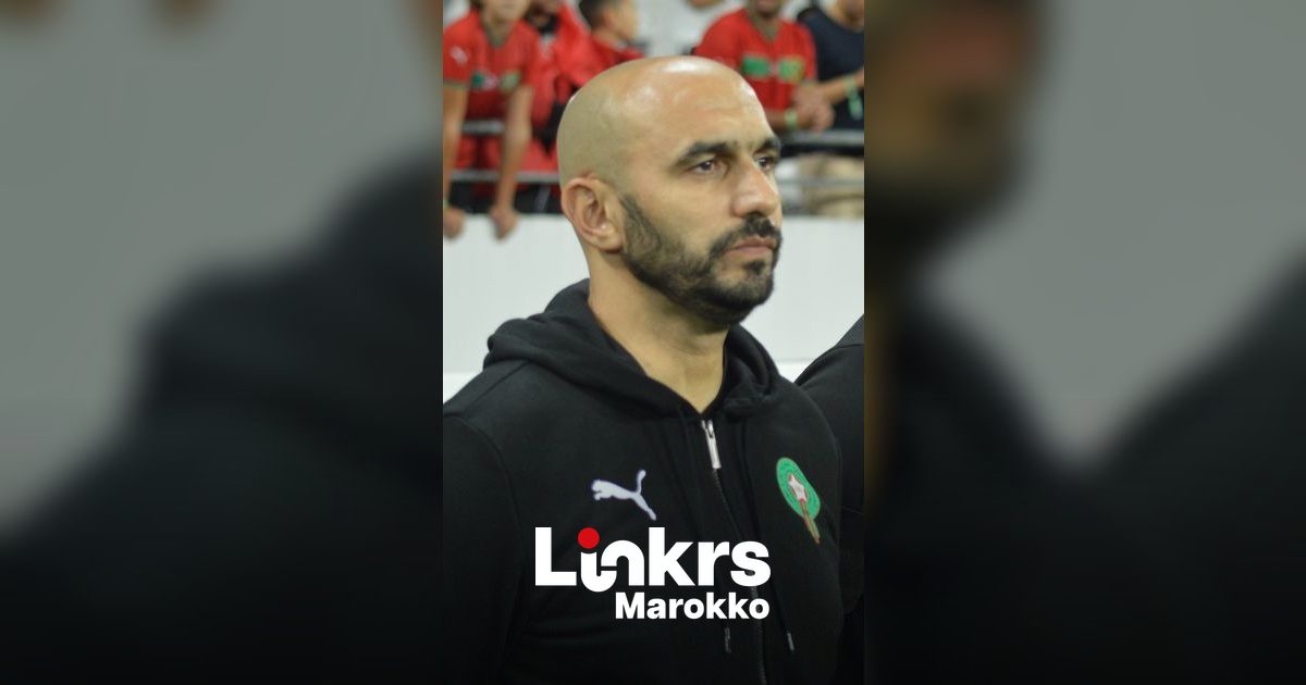 Walid Regragui en Mehdi Benatia worden analisten bij Canal+